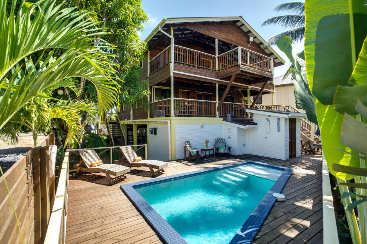 Driftwood Gardens Guesthouse Placencia Exterior foto